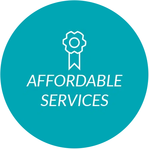 Starlink Affordable Services