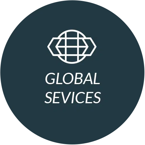 Starlink Business Global Services