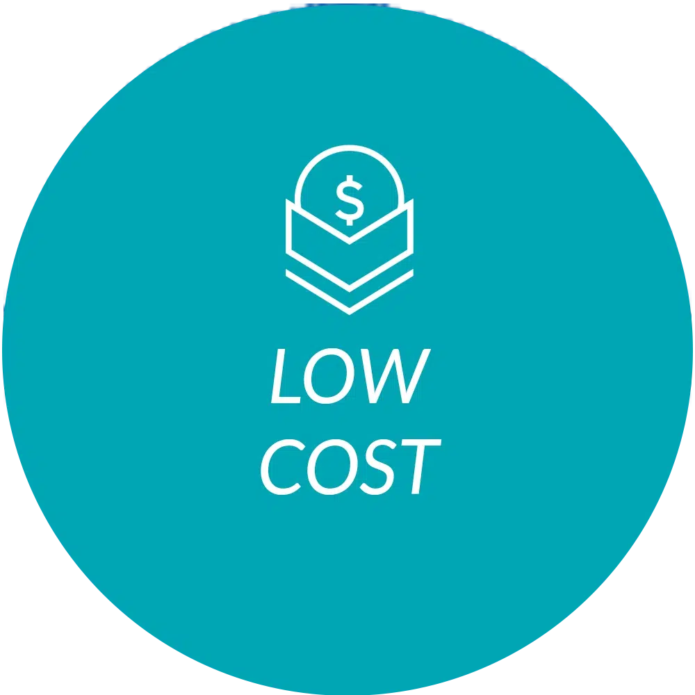 Starlink Business Low Cost Service